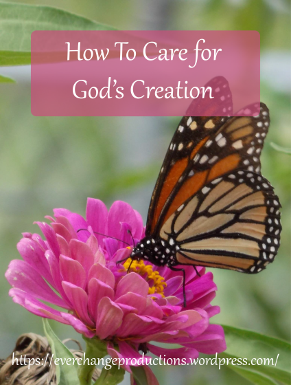 How to care for God's Creation